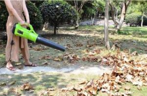 Best electric leaf blower with cord 2.2