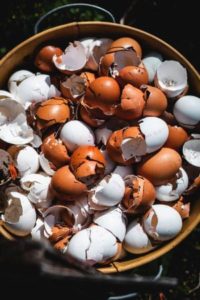 egg shells for compost heap